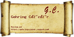 Gehring Cézár névjegykártya